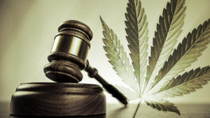 A judge 's gavel next to a marijuana leaf.
